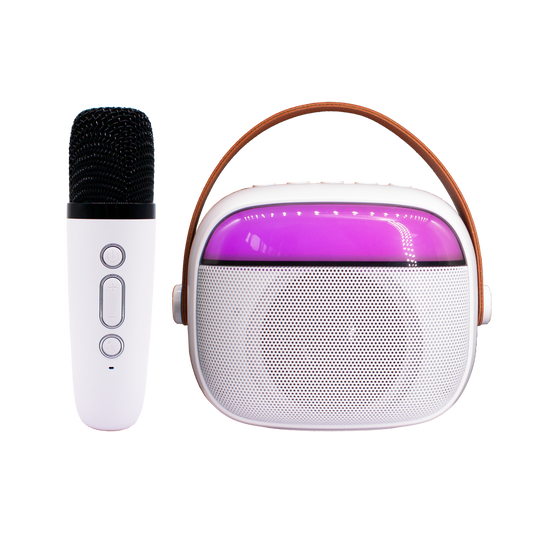 Bluetooth Karaoke Speaker W/ Single Wireless Microphone